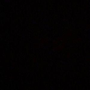 Meet your Posher, Alison